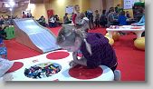 WP_20160216_12_05_17_Pro * 2592 x 1456 * (1.73MB)