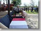 P1030253 * 2816 x 2112 * (2.94MB)